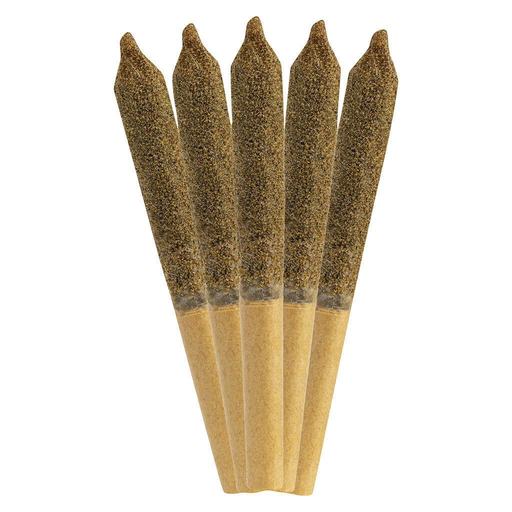 Ripped - In-Fused Orange Berry Pre-Roll - 5x0.5g