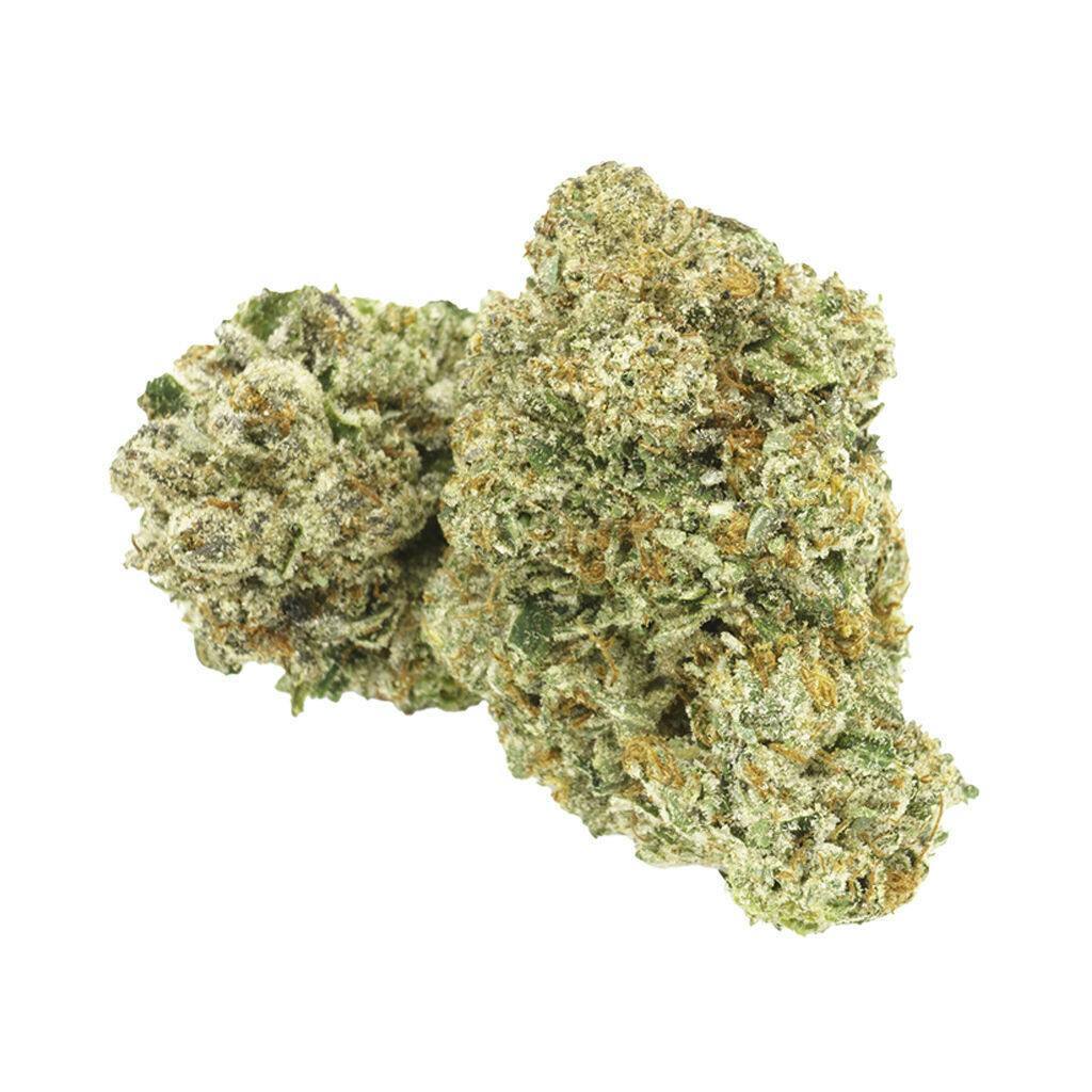 1964 - Comatose - 1g