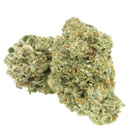 1964 - Organic Comatose - 3.5g