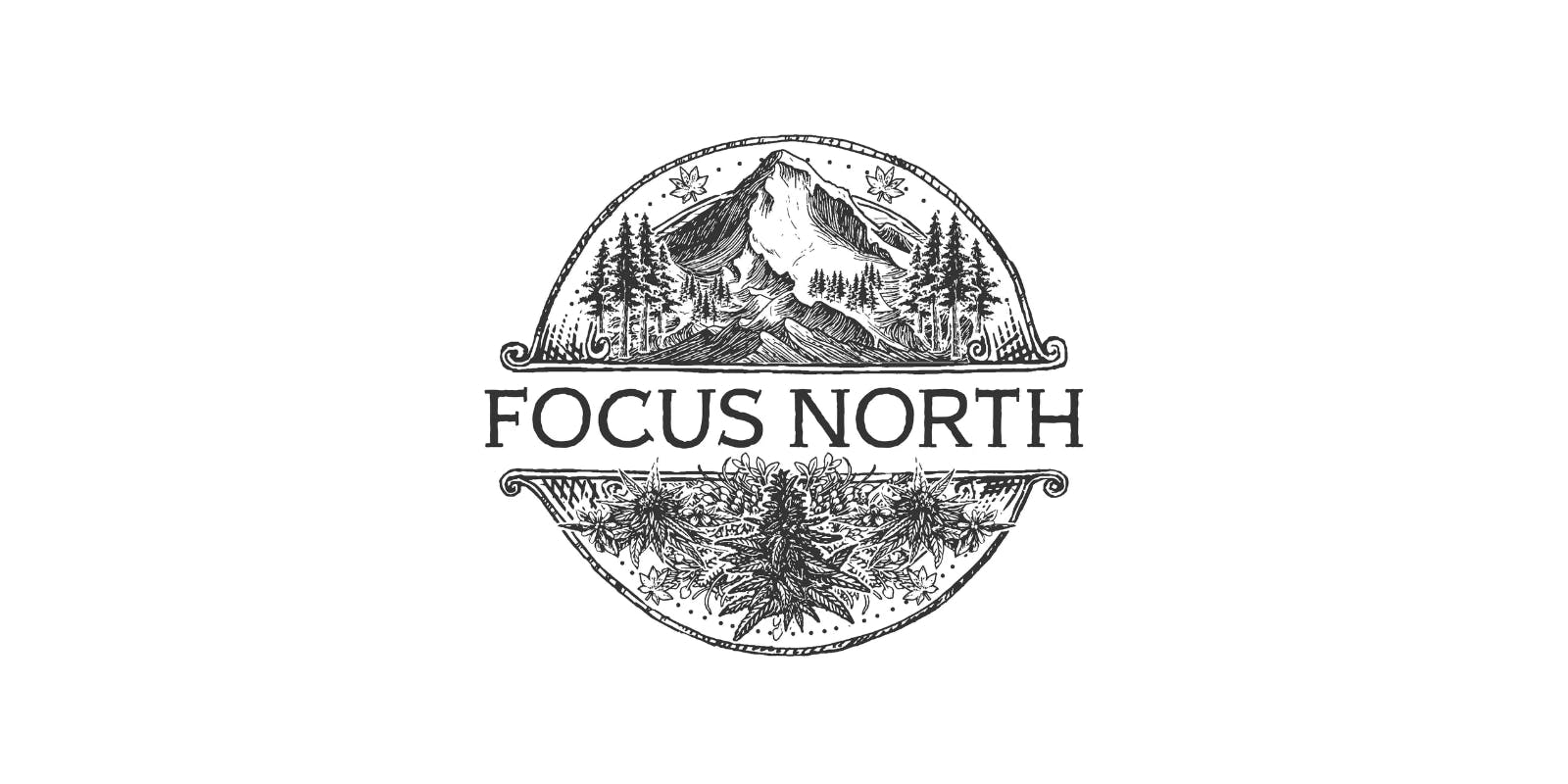 Focus North: Solar Garlic