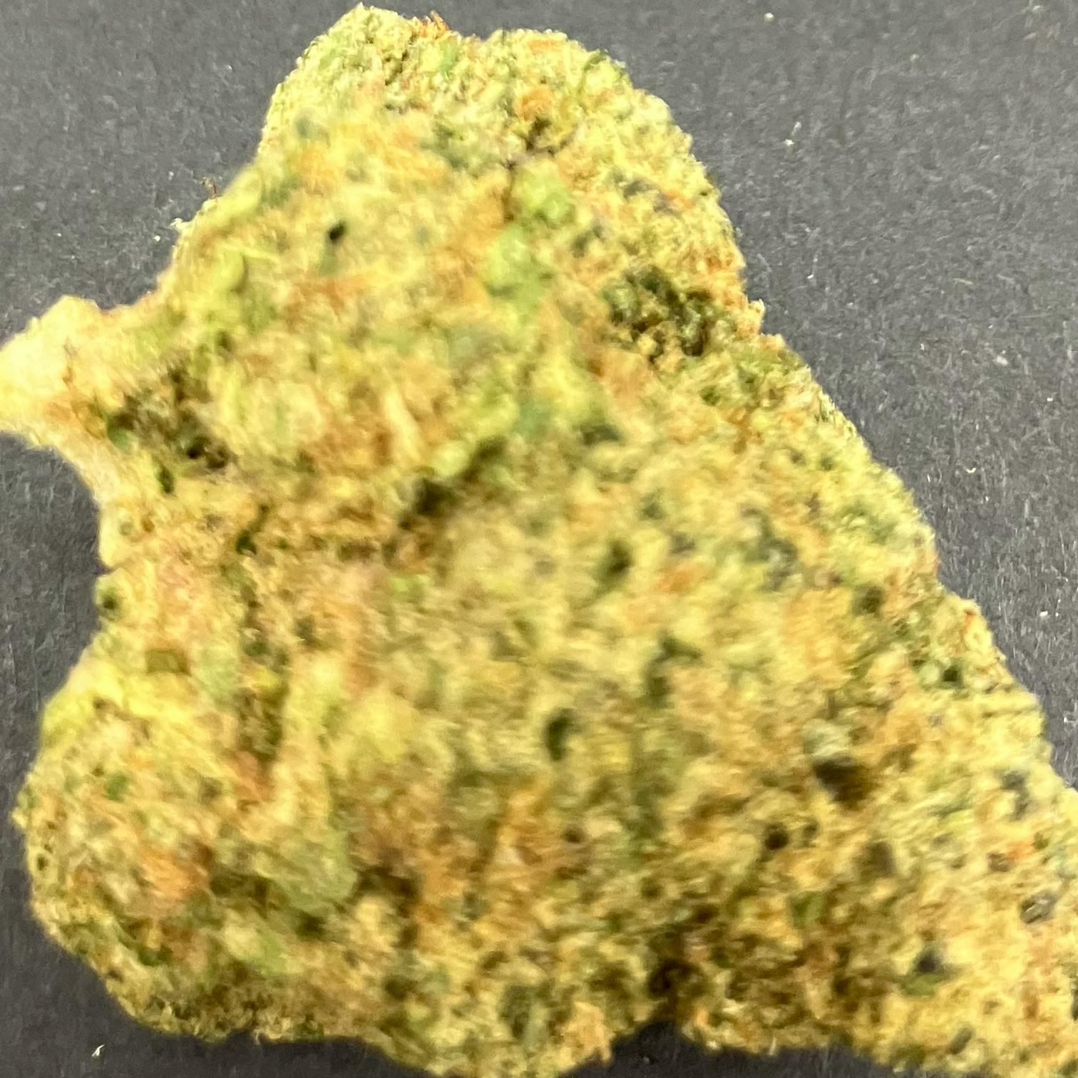 Cherry Pop Tart (H) - CC