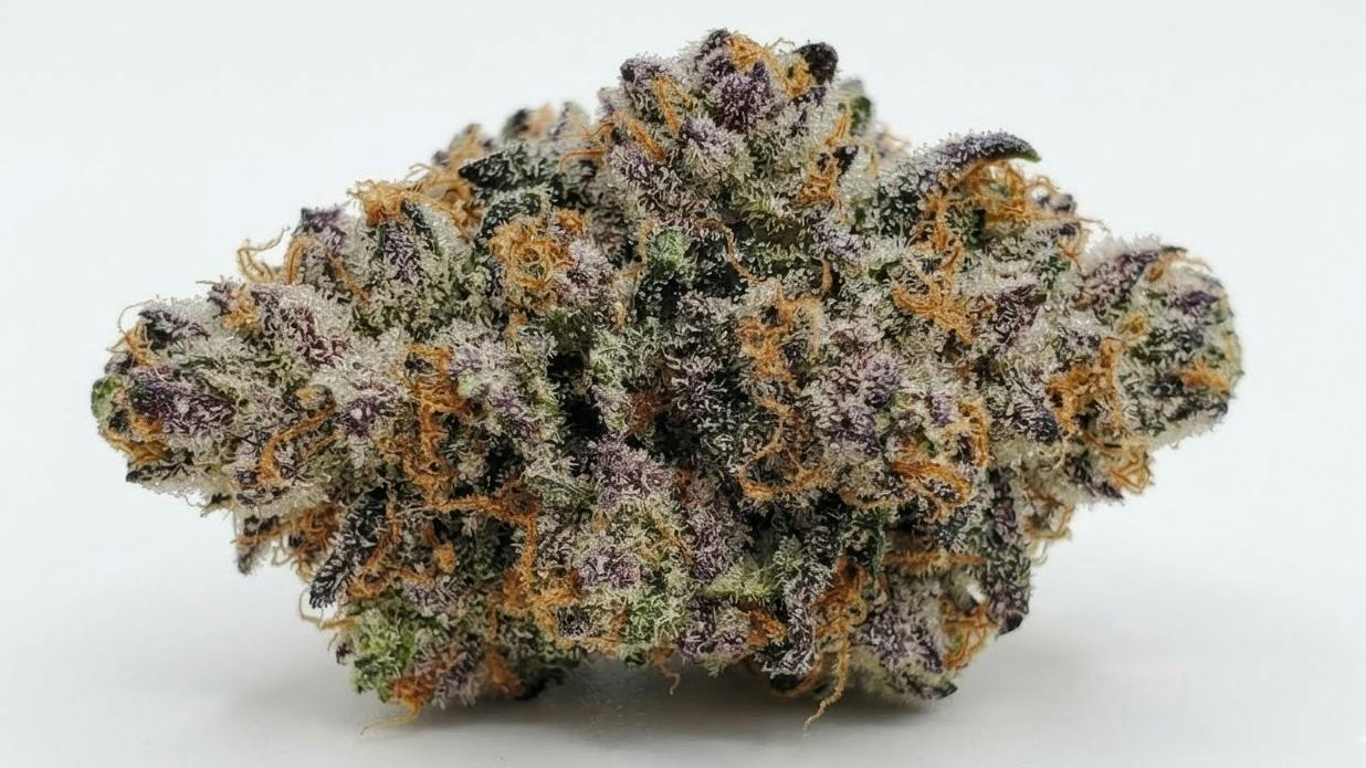Boofberry (H) - HI