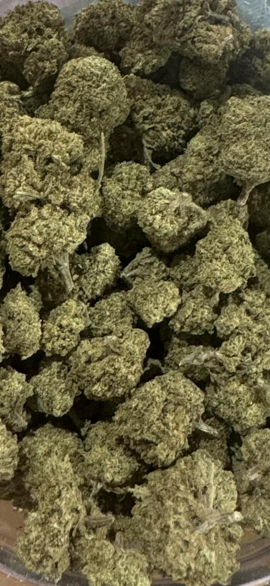White Truffle (I/H) - N1