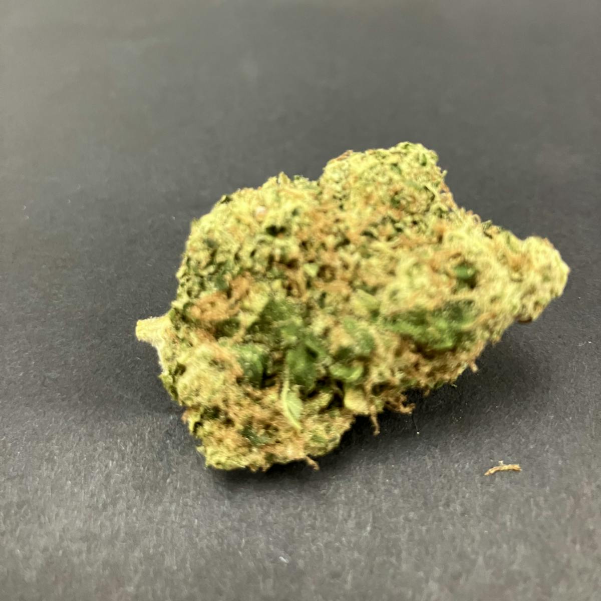 (MED) Afghani (I) - CC