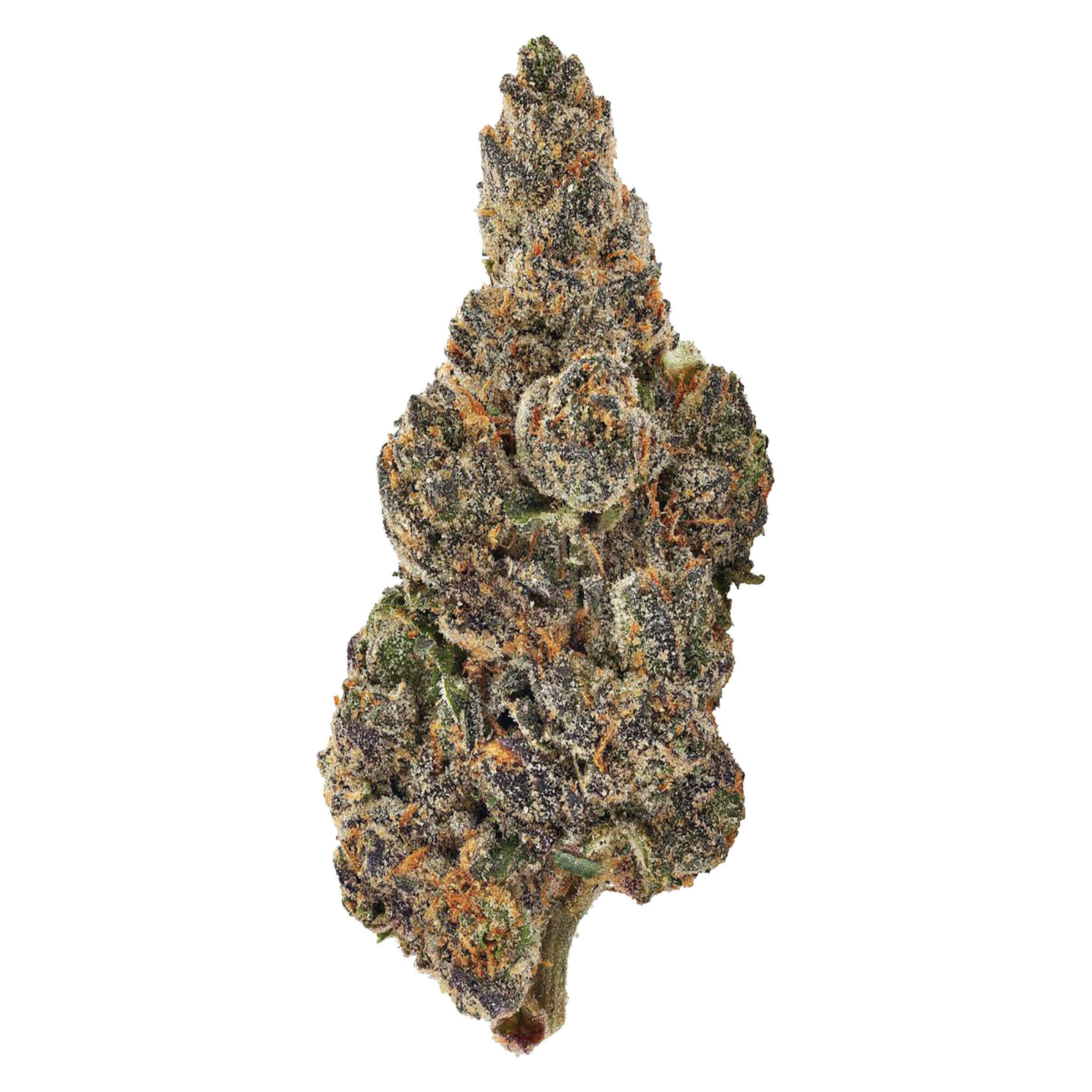 Bud Lafleur - Banana Daddy 3.5g - Dried Flower
