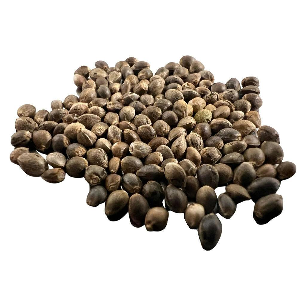 Great Gardener Farms - Rene Full Spectrum Collection Seeds - 5 Pack