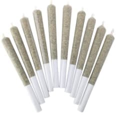 BC Doobies - White Chocolate Pre-Rolls 10x0.5g - 10x0.5g