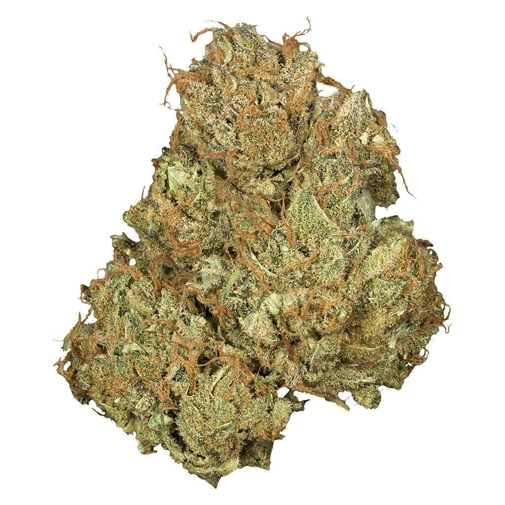 Jean Guy CBD 3.5g Dried Flower