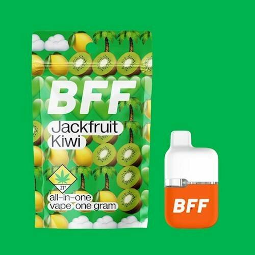 Jackfruit Kiwi BFF Disposable | 1g (DOH)