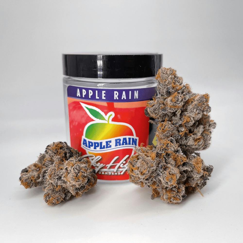 Apple Rain (DOH)