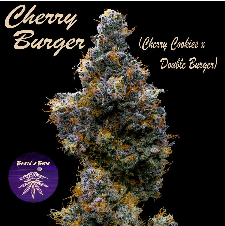 Cherry Burger (DOH)