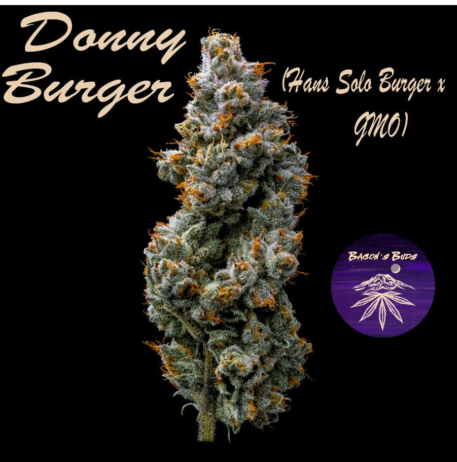 Donny Burger (DOH)