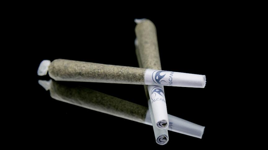 OLH Pre-Roll Pack Charlotte's Web CBD 12pk