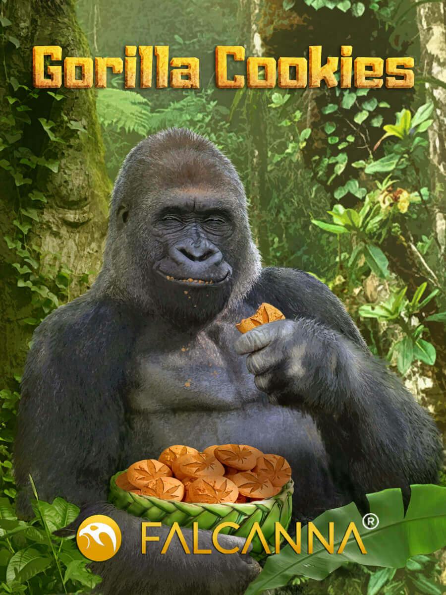 Gorilla Cookies | 1g (DOH)