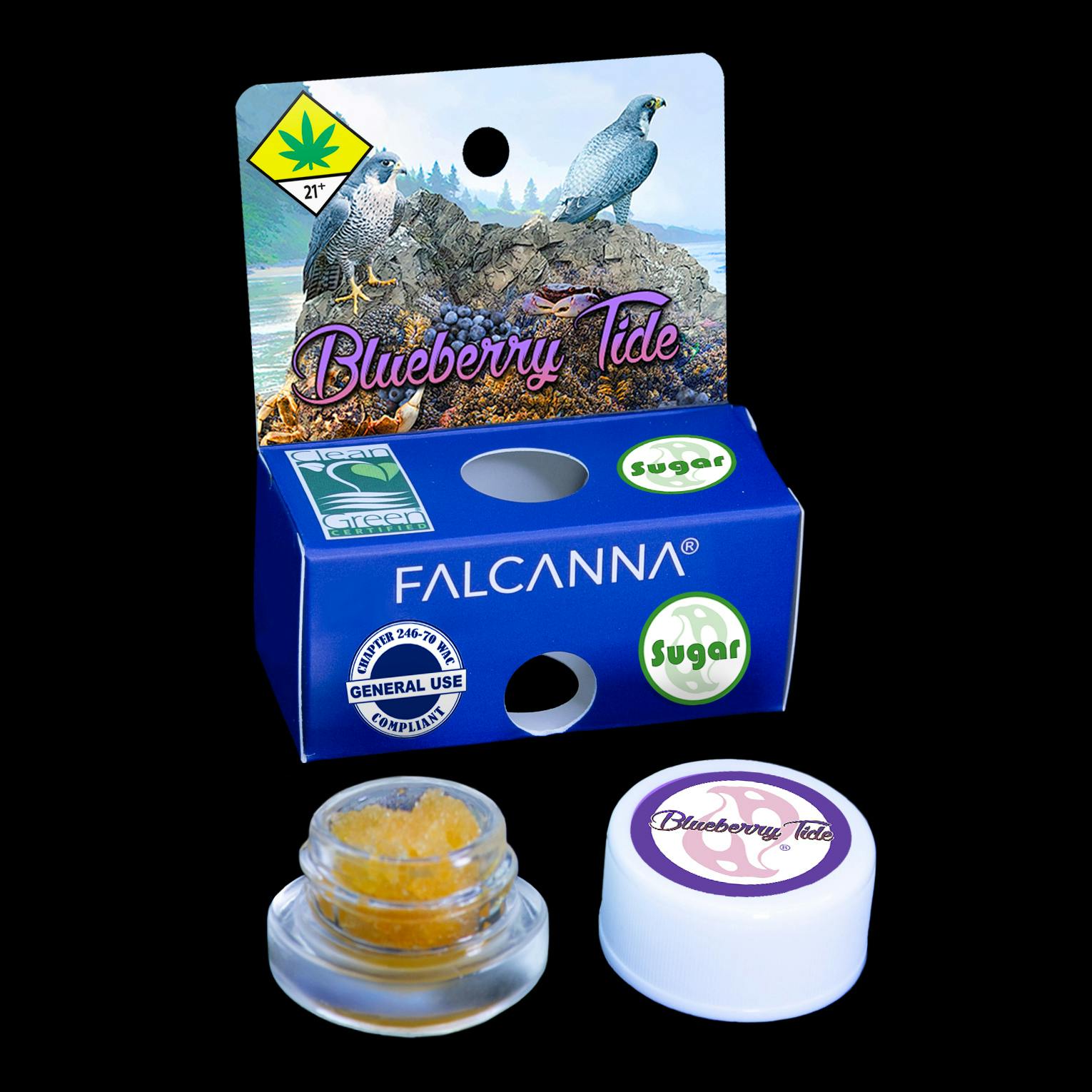 Blueberry Tide Wax | 1g (DOH)