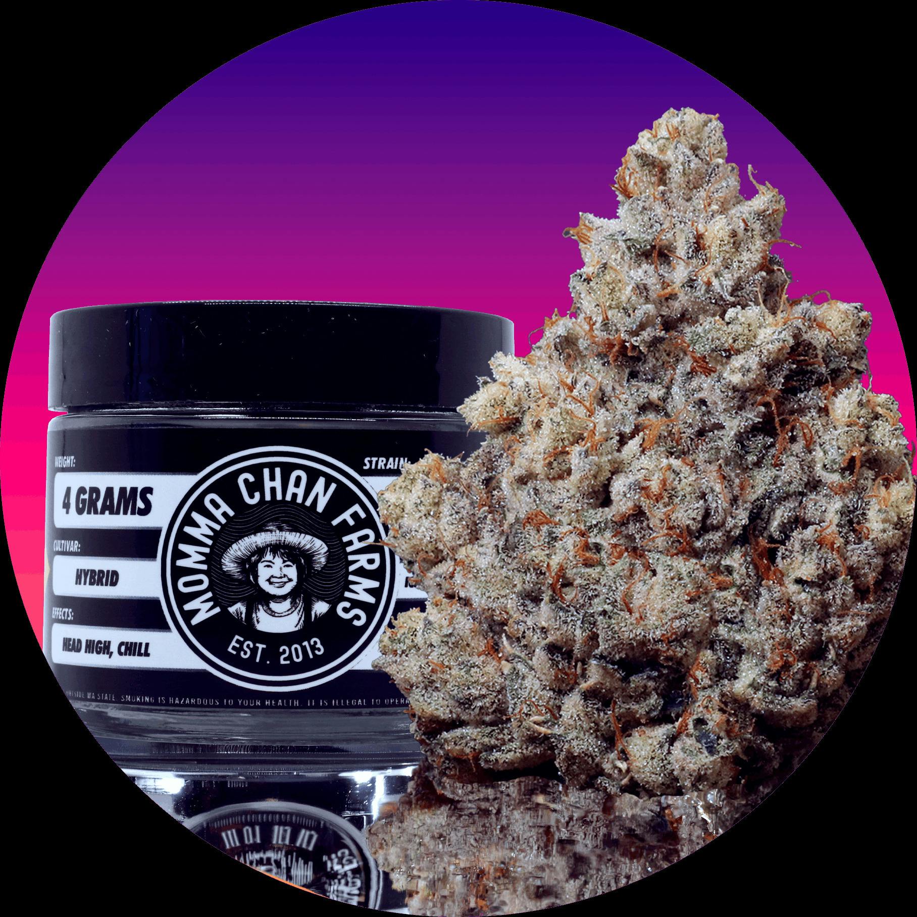 Headband | 8g (DOH)