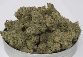 CrenShaw Melon (S/H) Flower