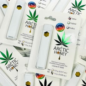 Key Lime Pie Disp.1g A.B.