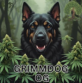 Grimmdog OG (I) Flower
