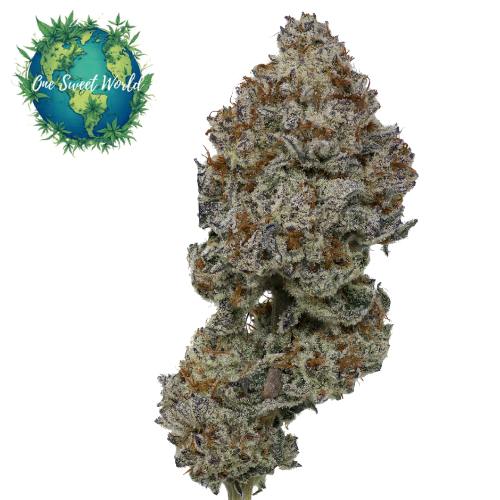In House | Oreoz Flower