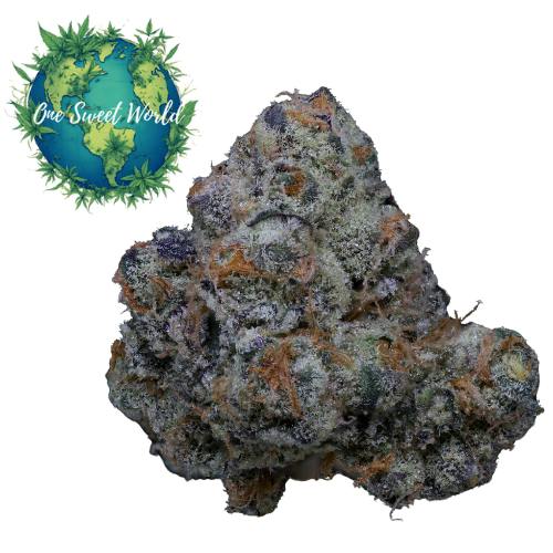 In House | F-Troop Flower