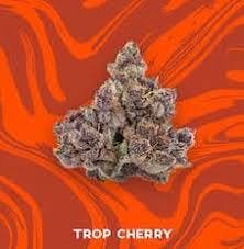 VIVID PRE-PACK FLOWER TROP CHERRY (S/H) 3.5G