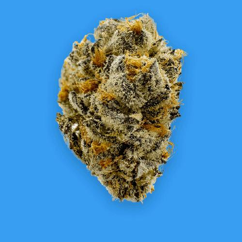 BUOYANT BOB PRE-PACK FLOWER GARLIC BUTTER (I/H) 3.5G