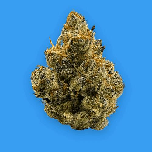 BUOYANT BOB PRE-PACK FLOWER WOUNDED WARRIORS BREATH (I/H) 3.5G