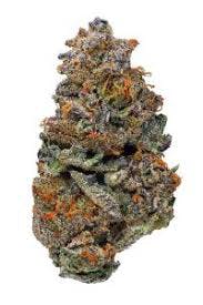 Flower - Super Sherb (H)