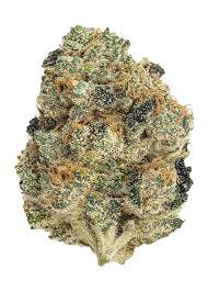 Flower - RX (H)
