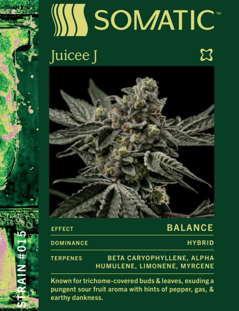 Juicee J [56g]