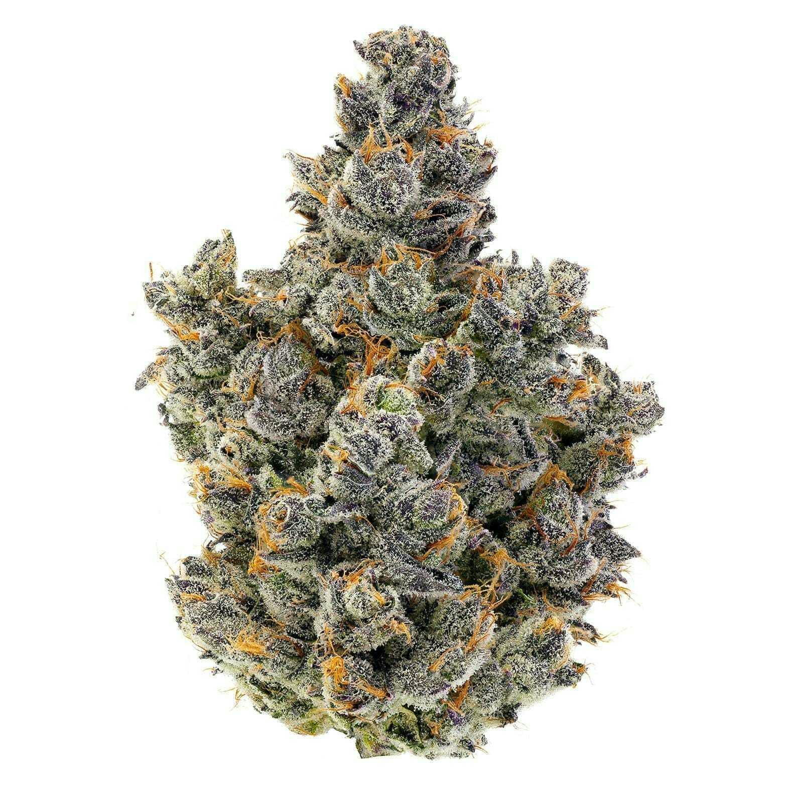 Fig Farms - Momochi | 3.5g