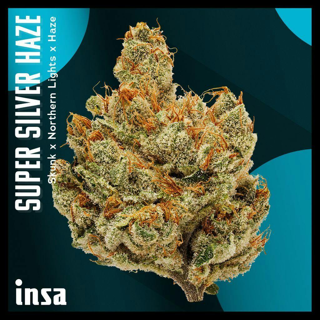 INSA Super Silver Haze Whole Flower 28g