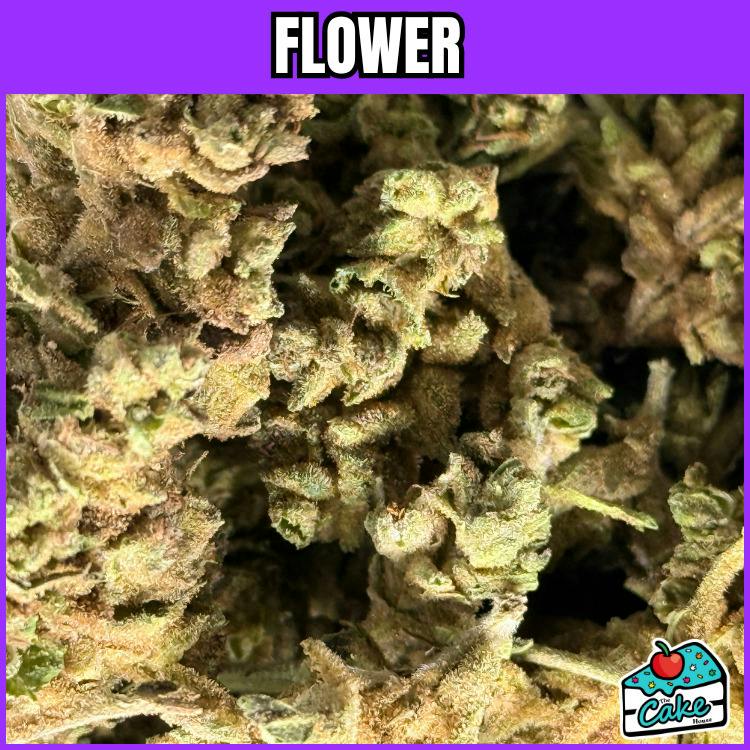 Oceana Gardens - Flower - Big Foot Glue at The Cake House Pleasant Ridge Cannabis Dispensary