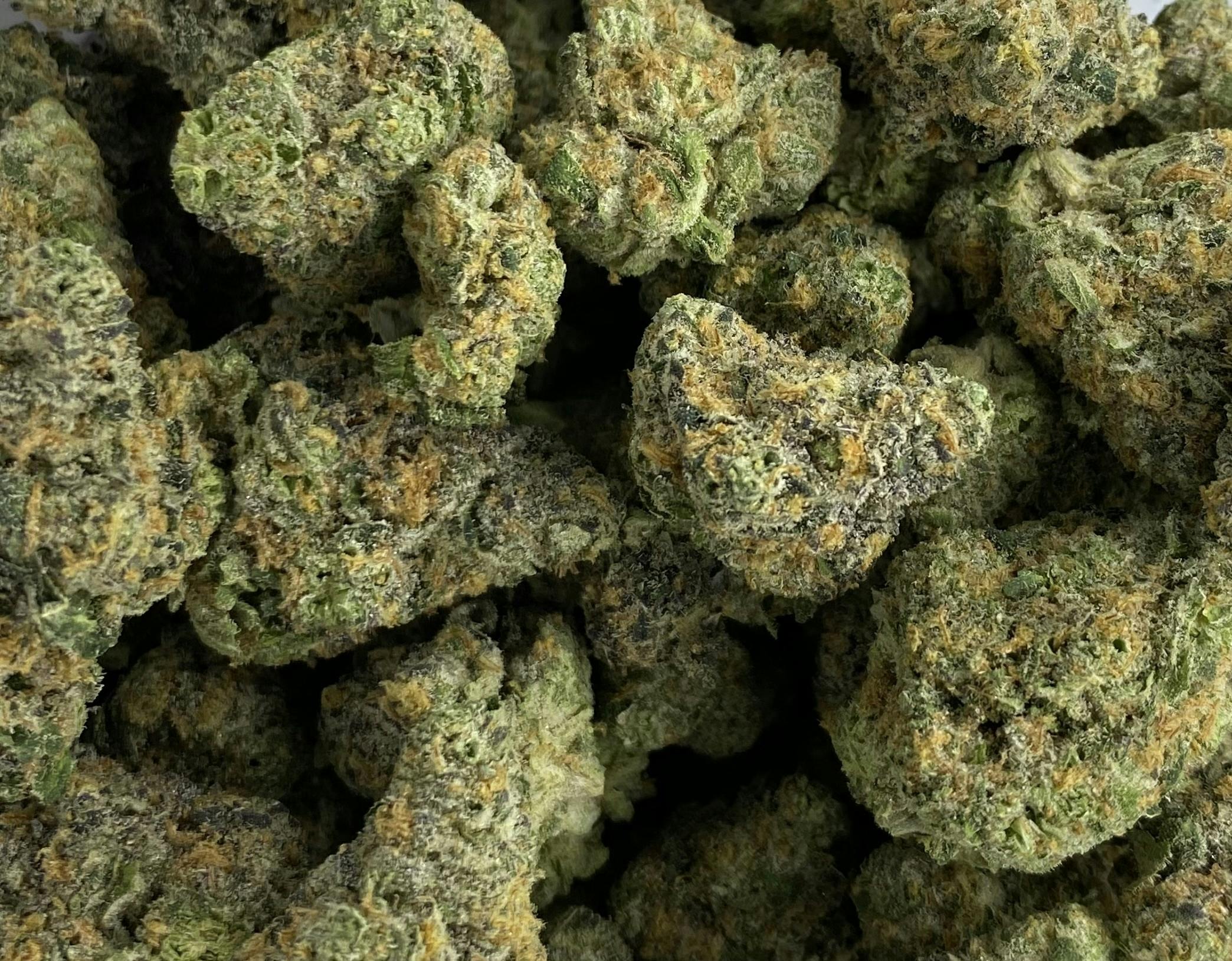 Hytek - Flower - Los Muertos 10 cannabis product