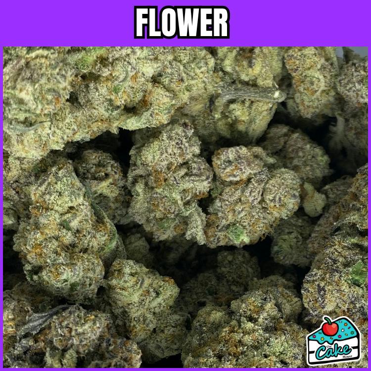 P4P - Flower - Betty White