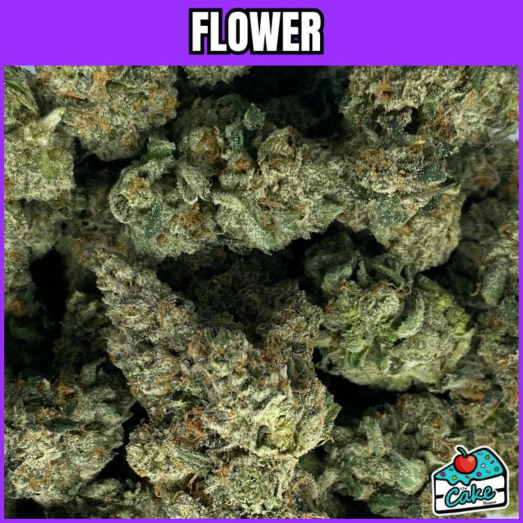 P4P - Flower - Purple Limeade