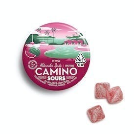 CAMINO SOURS — Watermelon Spritz