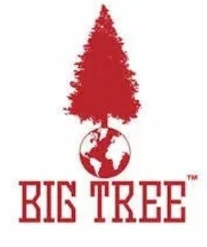 Big Tree - Pink Passion — Liquified