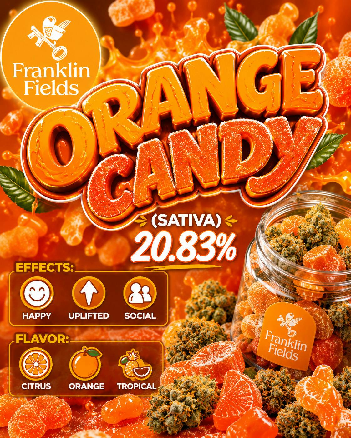 Franklin Fields | Orange Candy