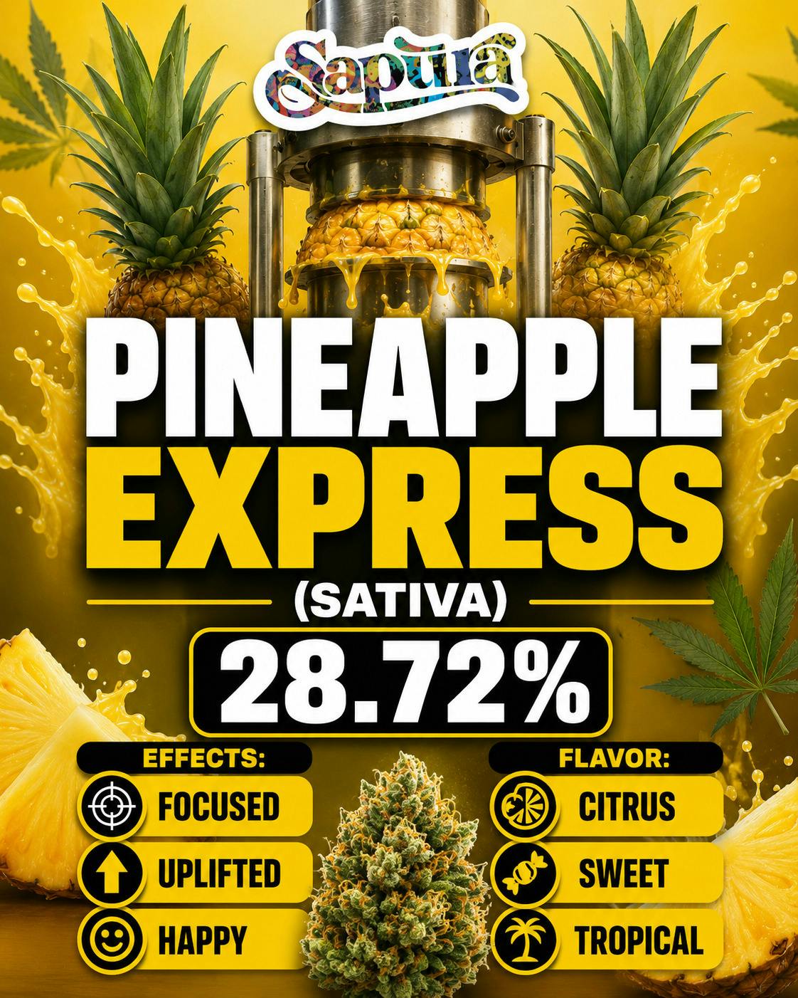 Sapura | Pineapple Express