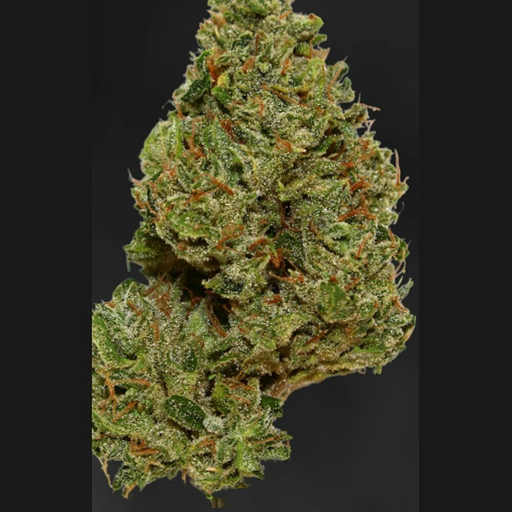 517 Premier Cannabis Spartan OG Jar