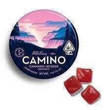 CAMINO — Wild Berry - Camino
