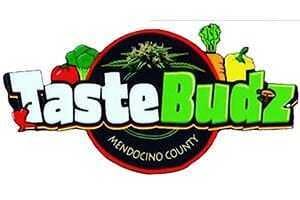 Tastebudz - Jelly Cake - Tastebudz