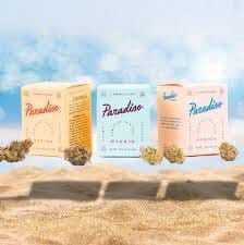 Paradiso Gardens - Pink Lemonade - Paradiso