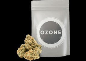 Ozone | Dual OG | Flower | 3.5g (IH)