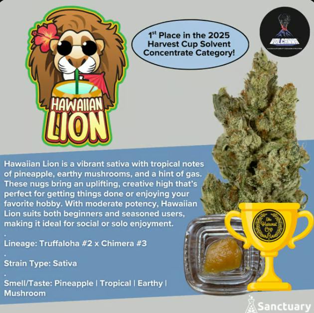 Hawaiian Lion | Crumble Baller Jar | 4g (S) cannabis product