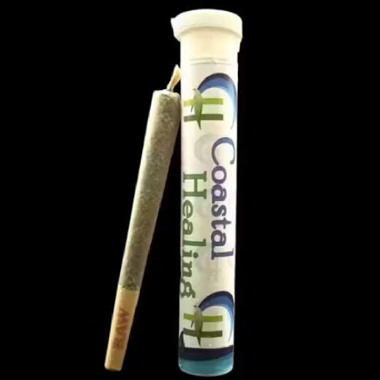 Coastal Healing | Lemon Zephyr | Pre-Roll | 1g (S) cannabis product