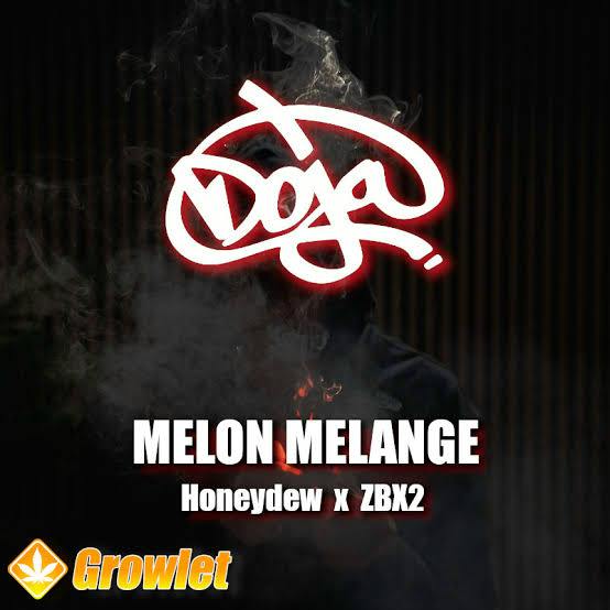 Doja | Melon Melange | Flower | 14g (H) cannabis product