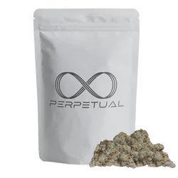 Perpetual | Porto Leche #2 | Flower | 28g (IH) cannabis product